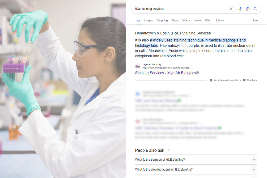 seo case study mymab biologics